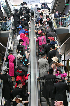 ascot_audience47_fs
