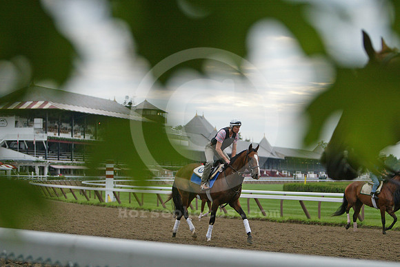 saratoga morning