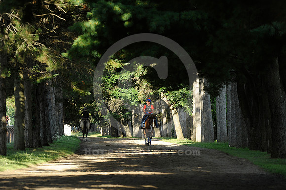 saratoga morning