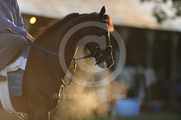 saratoga morning