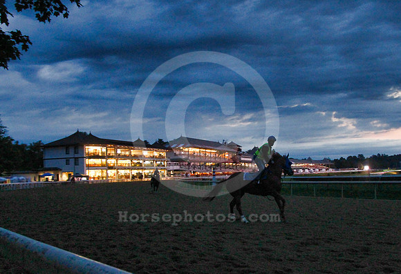 saratoga_morning289