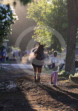 saratoga morning