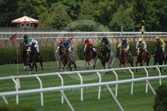 saratoga racing action