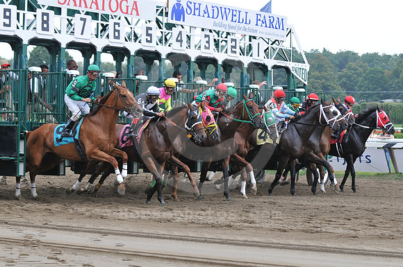 saratoga racing action