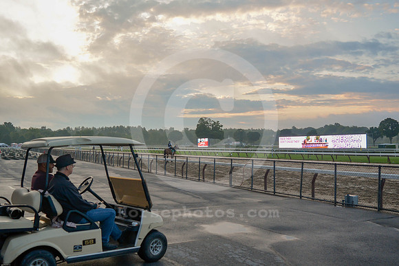 saratoga morning
