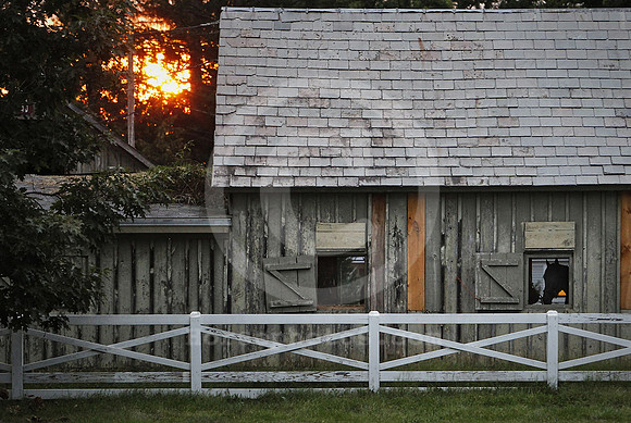 saratoga_morning295