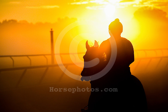 saratoga morning