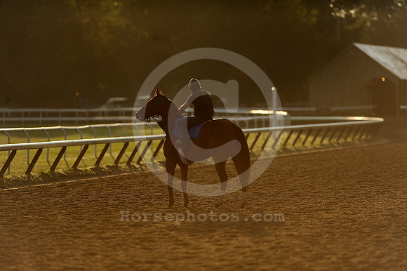saratoga morning