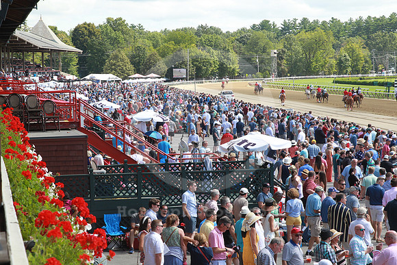 saratoga_grandstand155_st