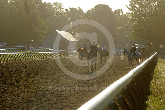 saratoga morning