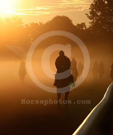 saratoga morning