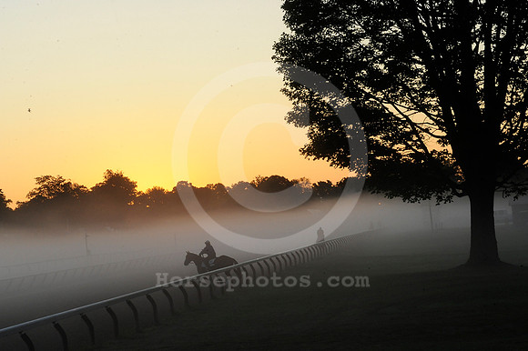saratoga morning