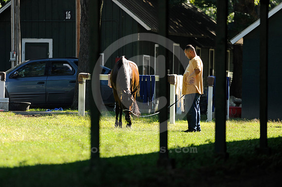 saratoga morning