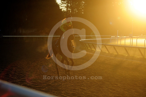 saratoga morning