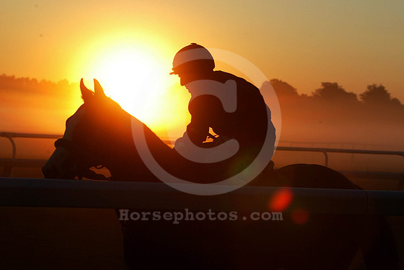 saratoga morning