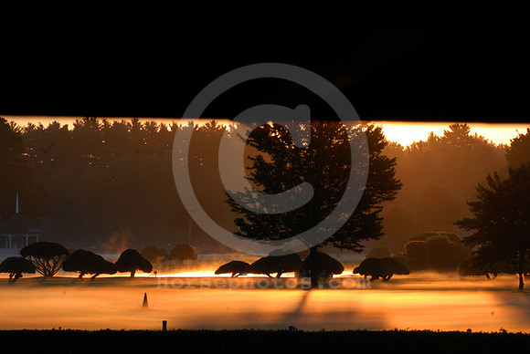 saratoga morning