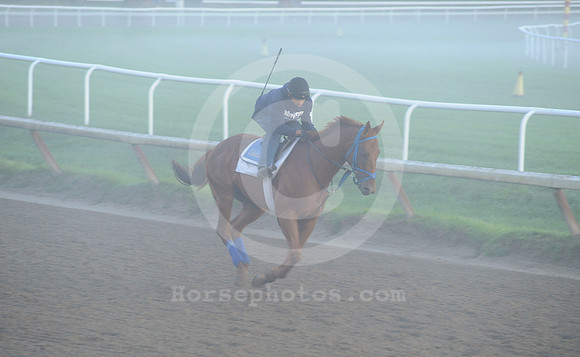saratoga morning