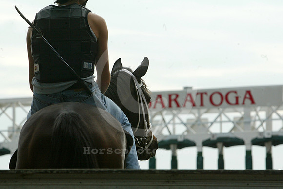 saratoga morning