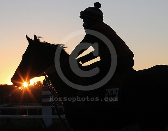 saratoga morning