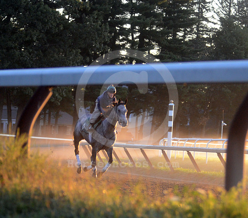 saratoga morning