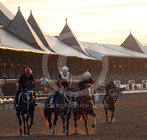 saratoga morning