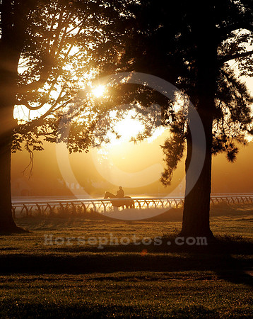 saratoga morning