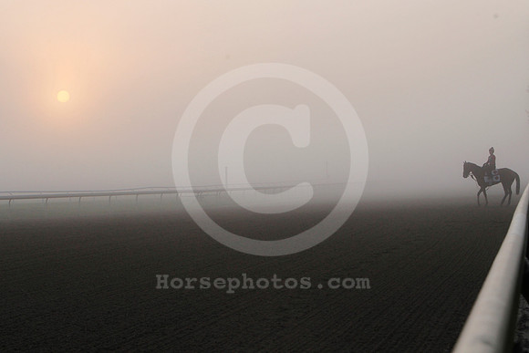 saratoga_morning264