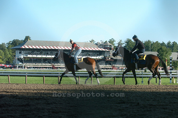 saratoga morning