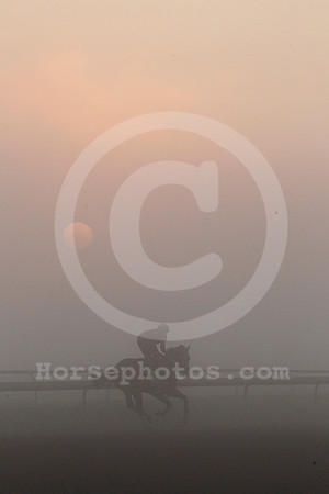 saratoga_morning265