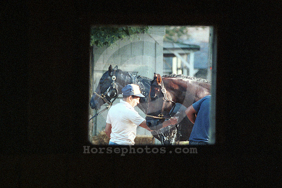 saratoga morning