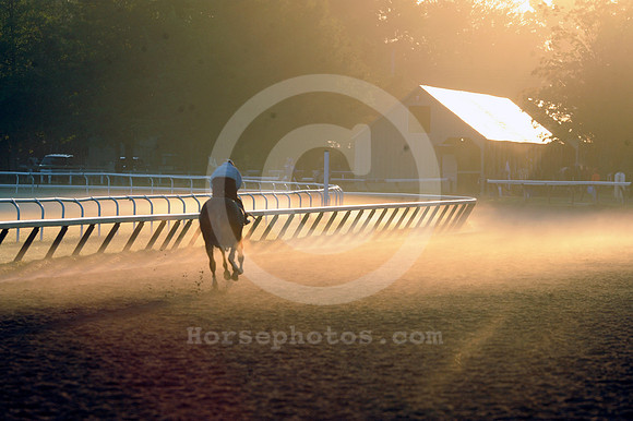 saratoga morning