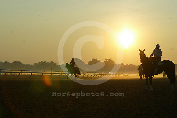 saratoga morning
