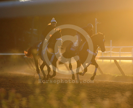 saratoga morning