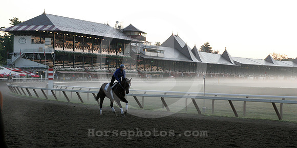 saratoga morning