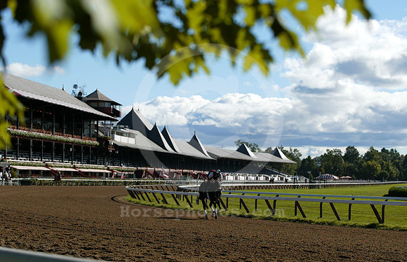 saratoga morning