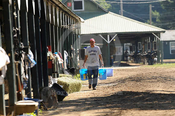 saratoga morning