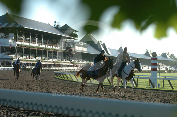 saratoga morning