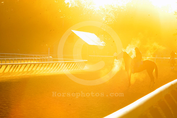 saratoga morning