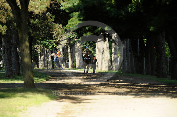 saratoga morning