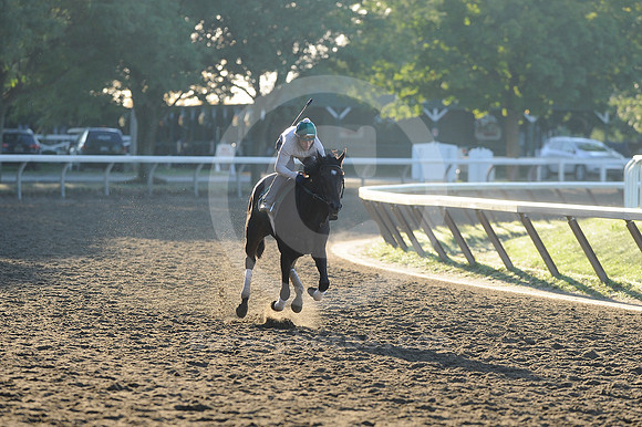 saratoga morning