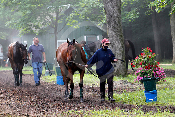 saratoga_morning286