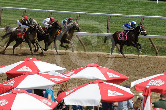 saratogaracecourse24_st