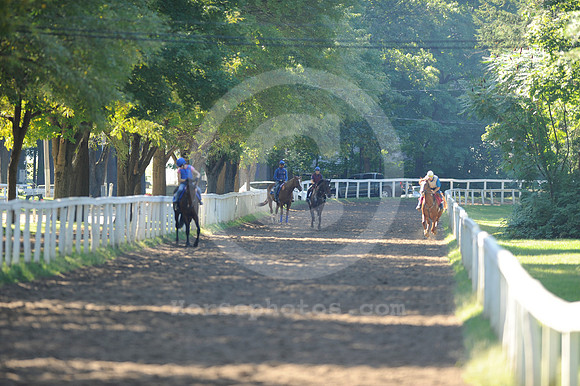 saratoga morning