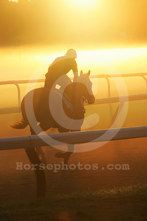 saratoga morning