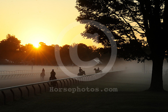 saratoga morning
