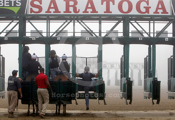 saratoga_morning288