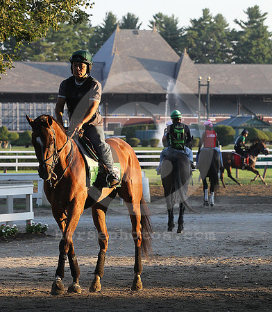 saratoga morning