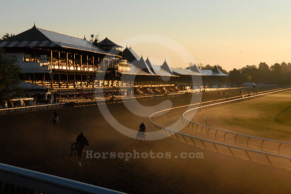 saratoga morning