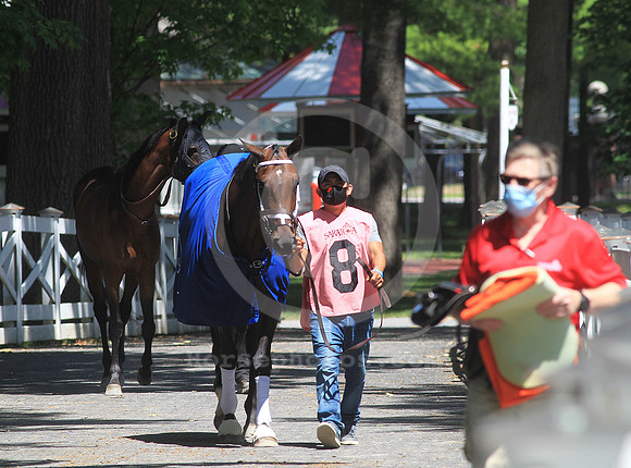 saratoga_groom01_st