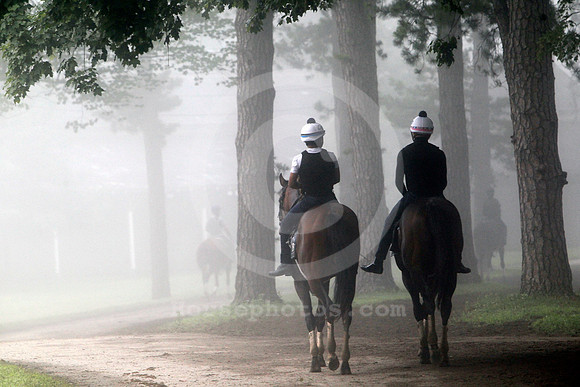 saratoga_morning269